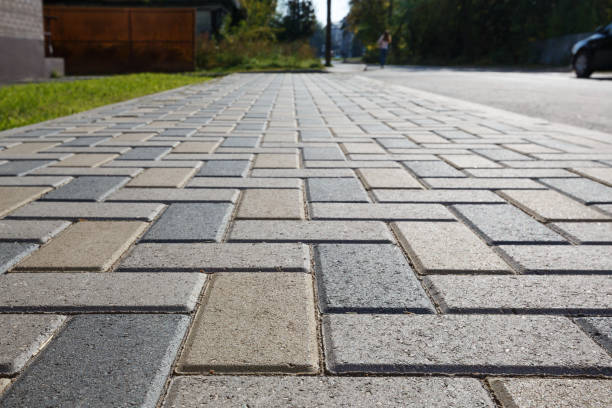 Best Custom Driveway Pavers  in Lake Mary Jane, FL