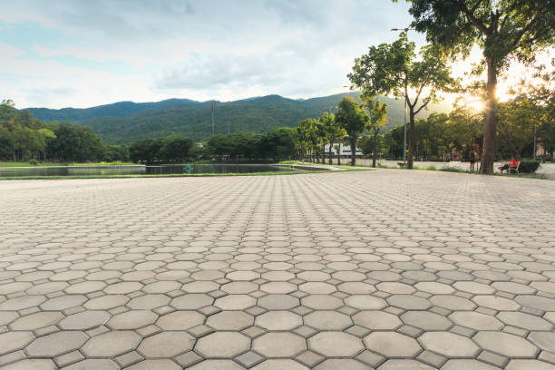 Best Permeable Paver Driveway  in Lake Mary Jane, FL