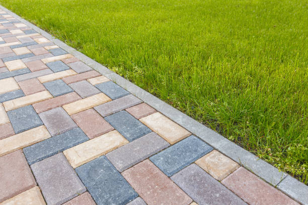 Best Driveway Paving Contractor  in Lake Mary Jane, FL